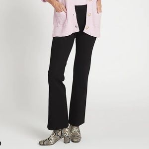 Betabrand Boot-Cut Classic Dress Pant Yoga Pants size 2XL